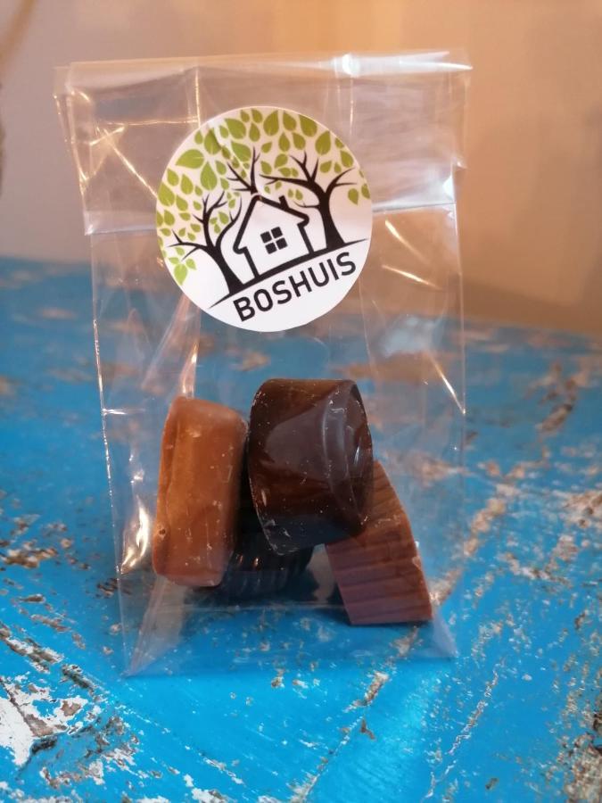 Boshuis Villa Olst Eksteriør bilde